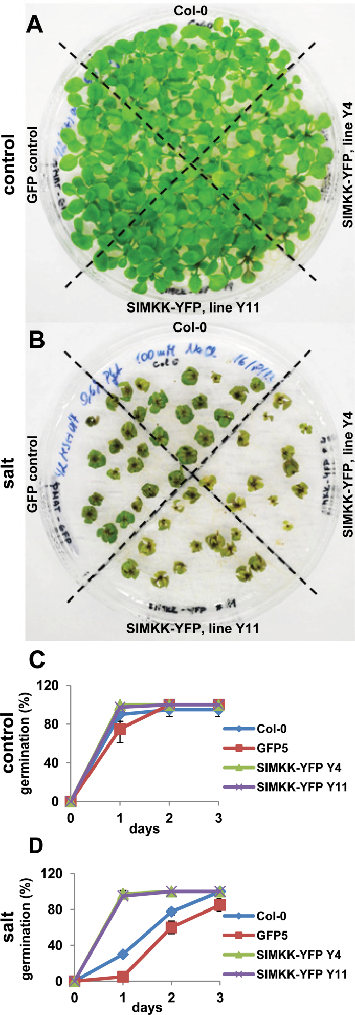 Fig. 8.