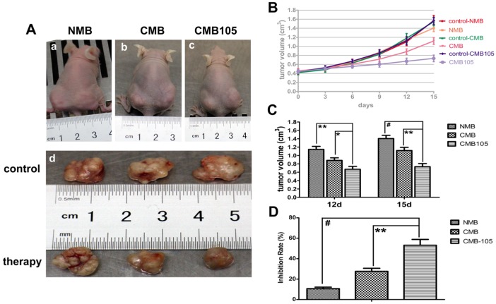 Figure 13