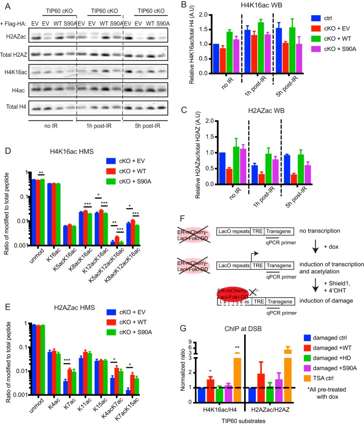 FIG 6