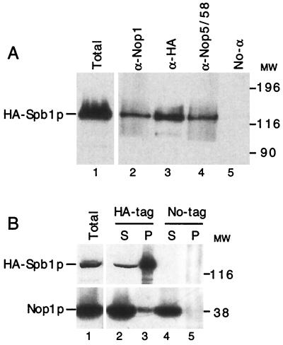 FIG. 10