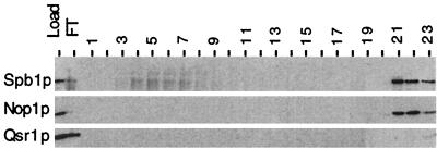 FIG. 9