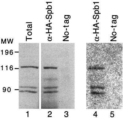 FIG. 12