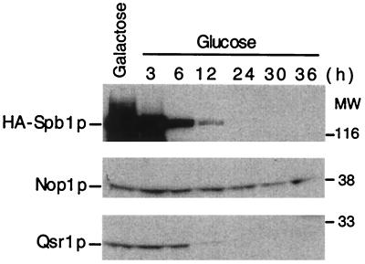 FIG. 11