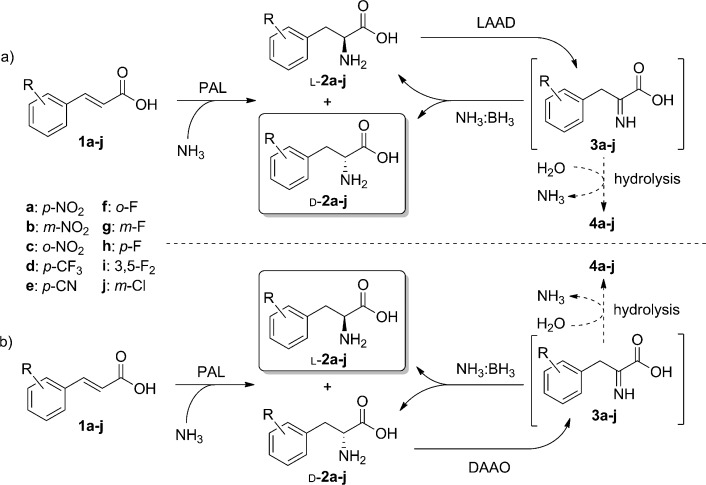 Scheme 3