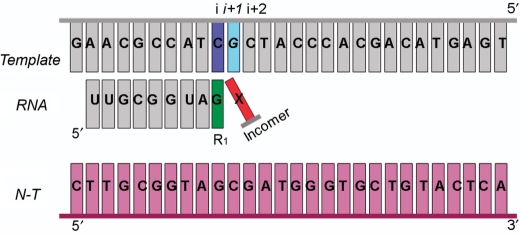 Figure 3.