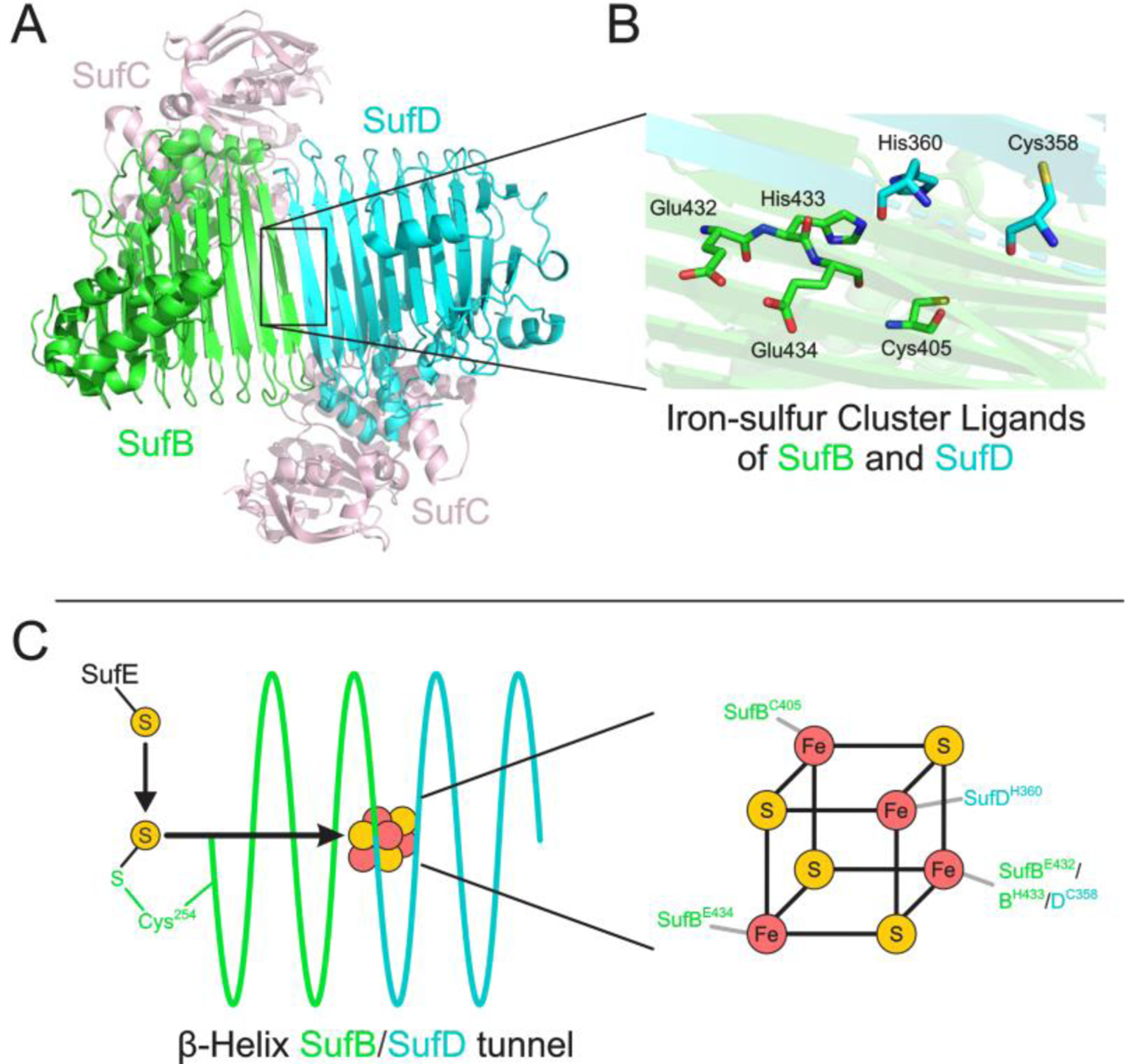 Figure 4.