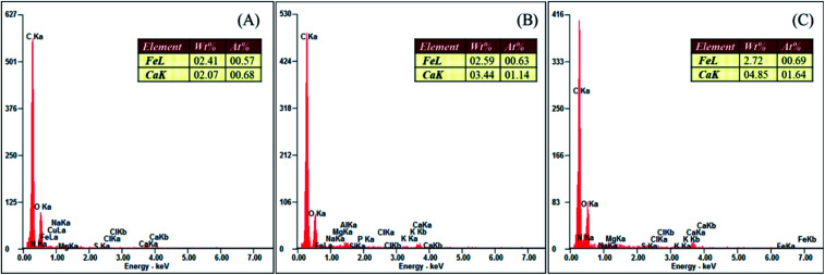 Fig. 7