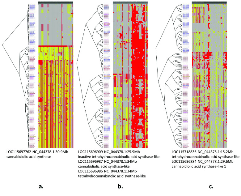 Figure 10.