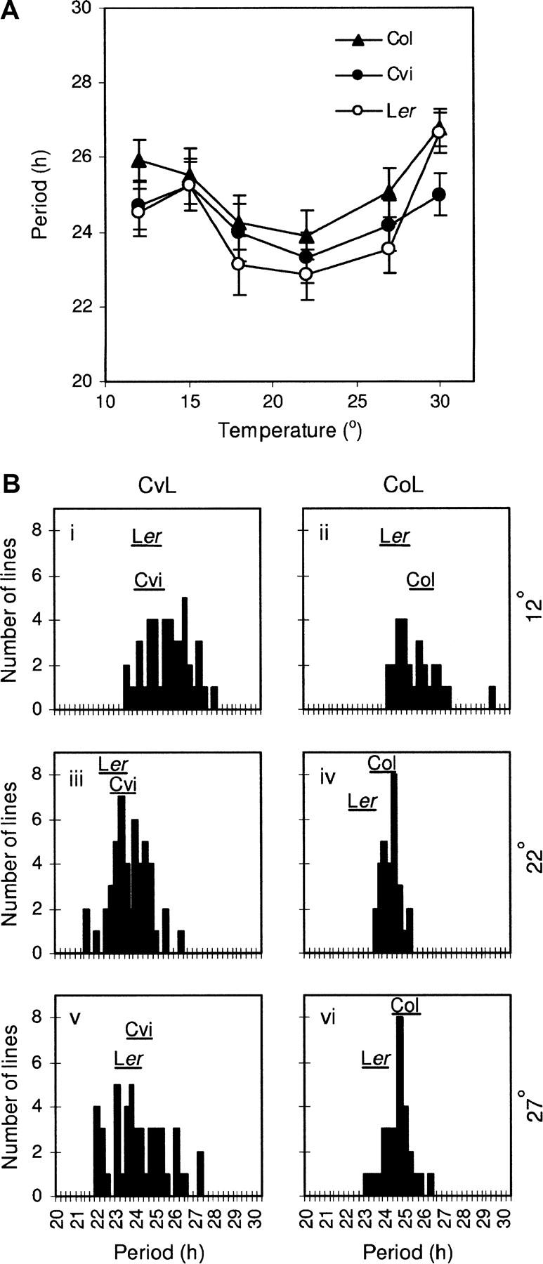 Figure 4.—