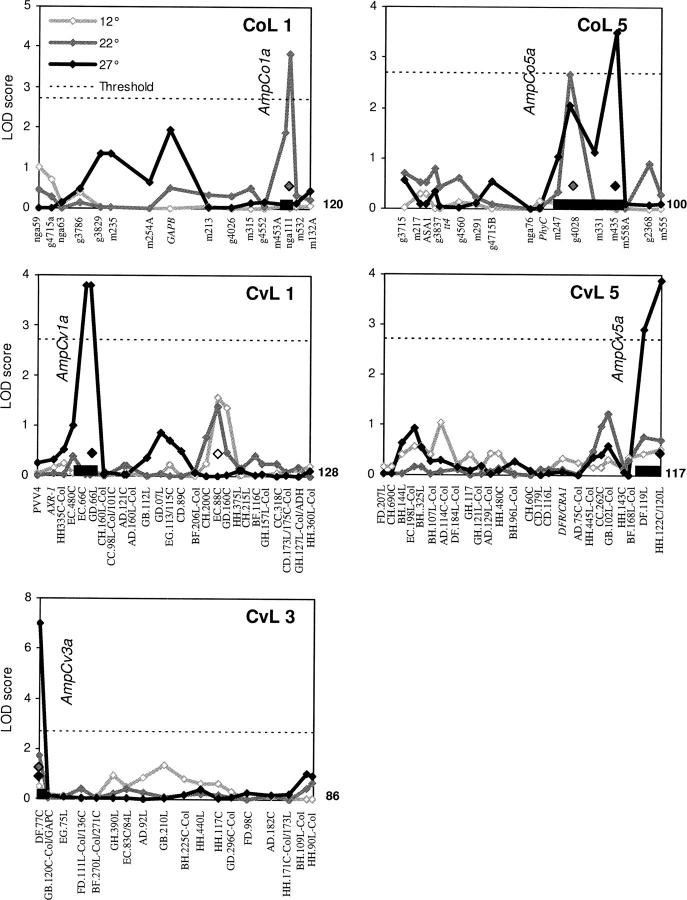 Figure 6.—