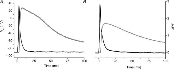 Fig. 5