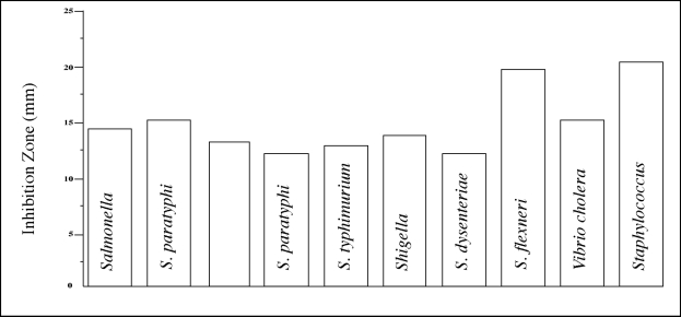 Fig. 1: