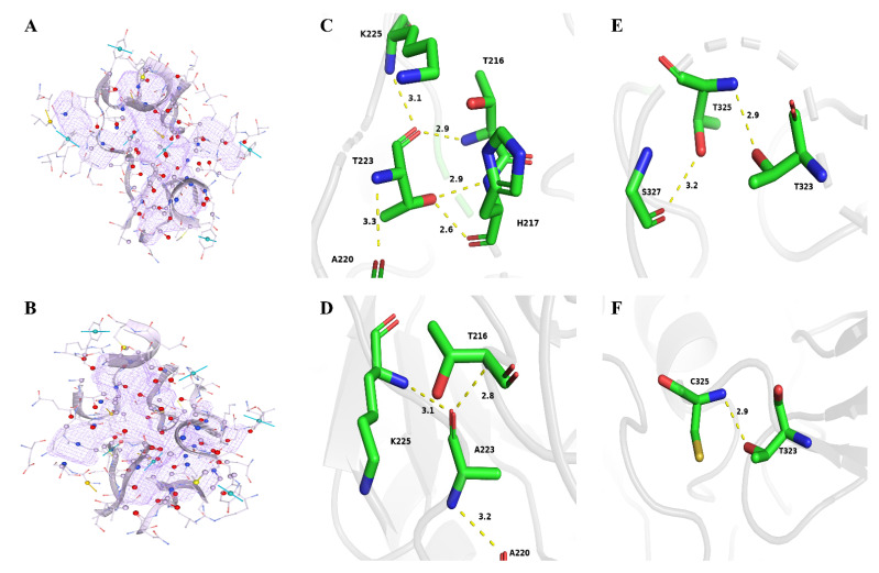 Figure 7