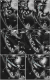 Fig. 9