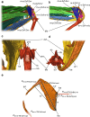 Fig. 8