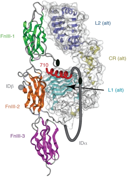 Fig. 4.