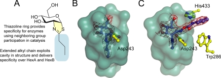 FIGURE 3.