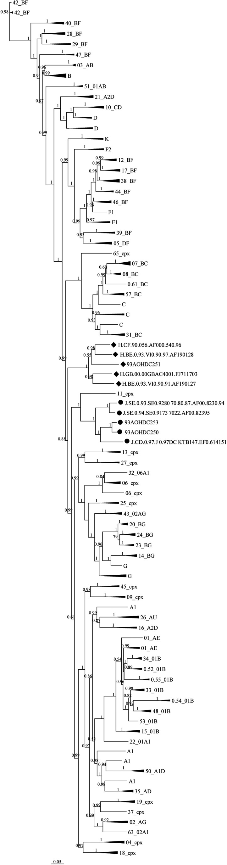 FIG. 1.