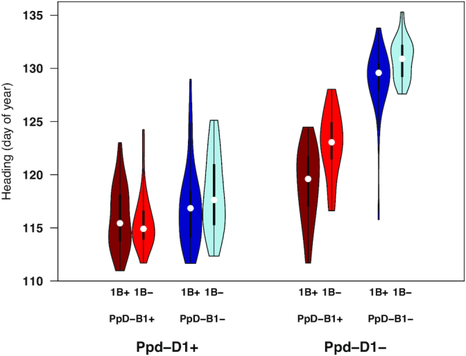 Figure 6: