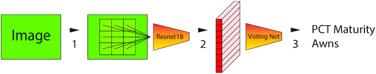 Figure 2: