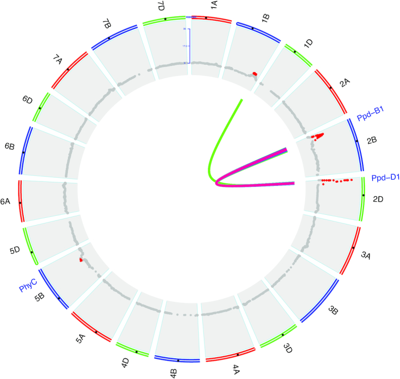 Figure 5: