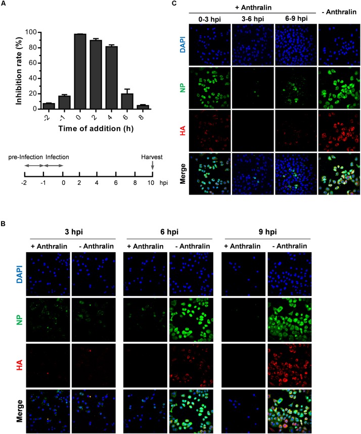 FIGURE 2