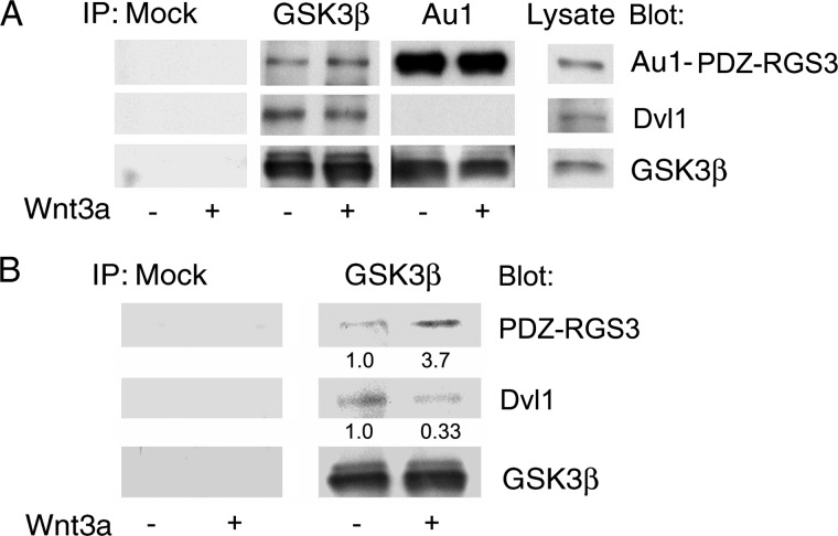 FIGURE 4.