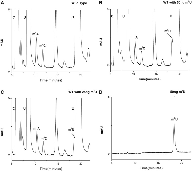 Figure 9.