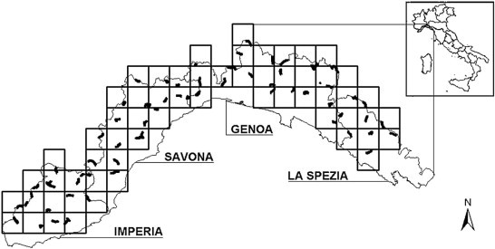 Fig. 1