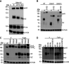 FIG 3