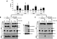 FIG 10