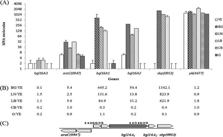 FIG 6