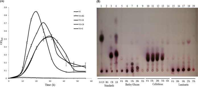 FIG 2