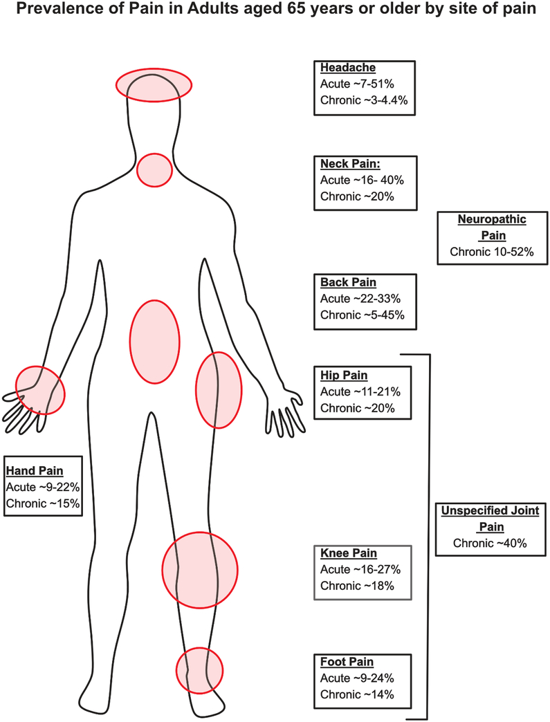 Figure 1: