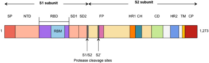 Fig. 2