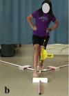 Figure 1b: