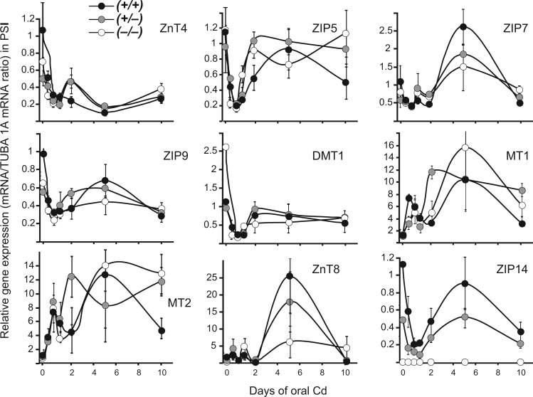 FIG. 4.