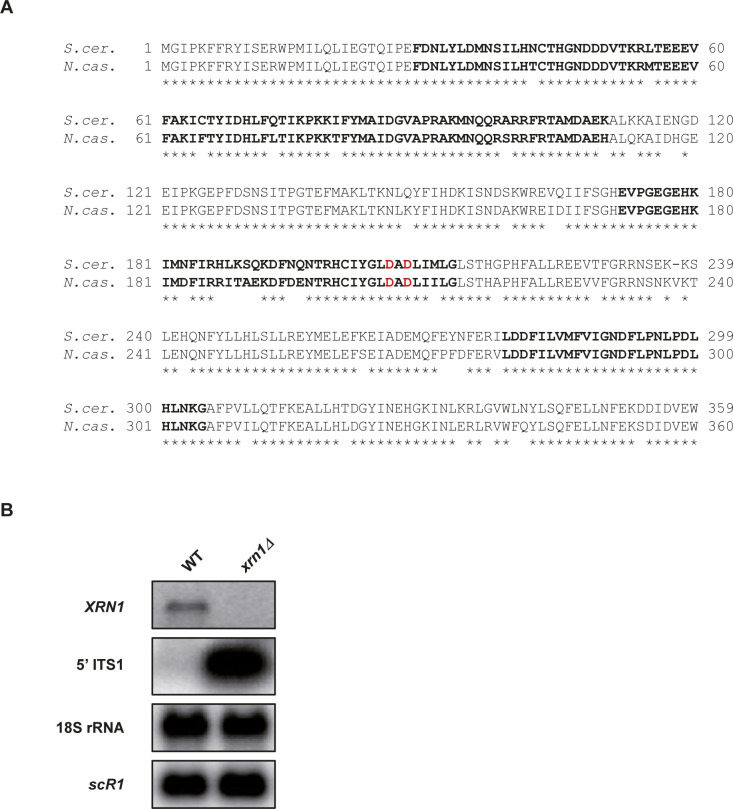 Figure S6.