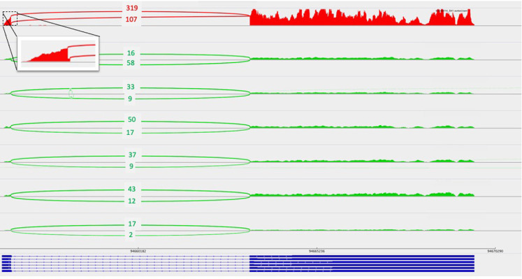 Figure 1.