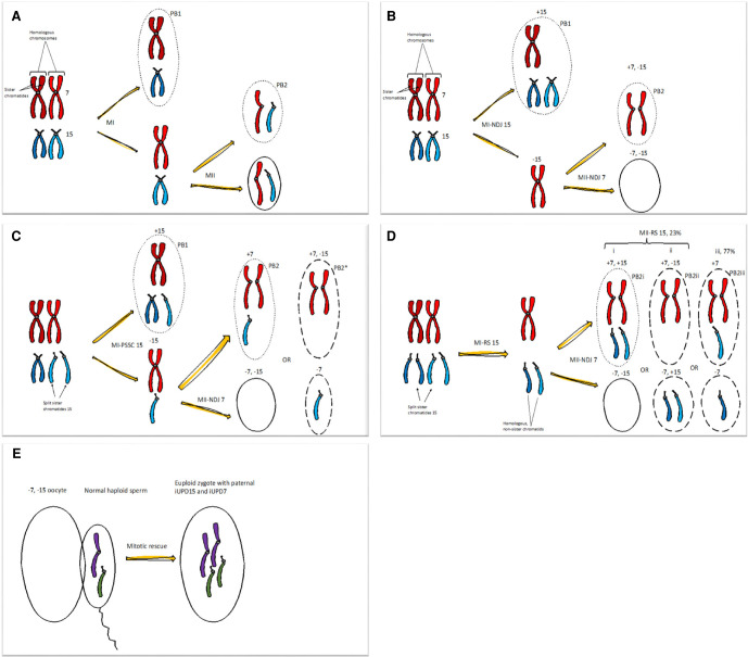 Figure 2.