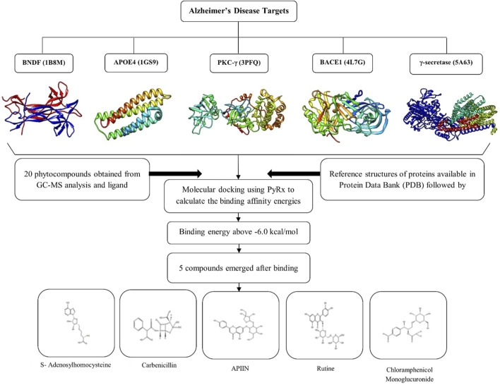 FIGURE 1