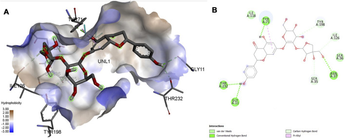 FIGURE 11