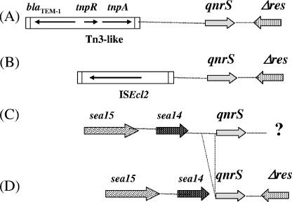 FIG. 2.