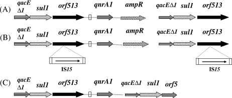 FIG. 1.