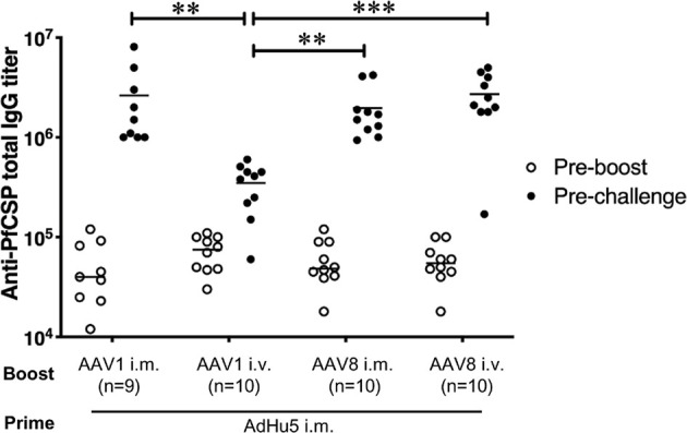 Figure 5