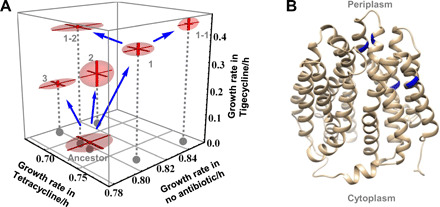 Fig. 4