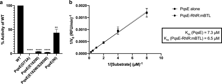 FIG 2