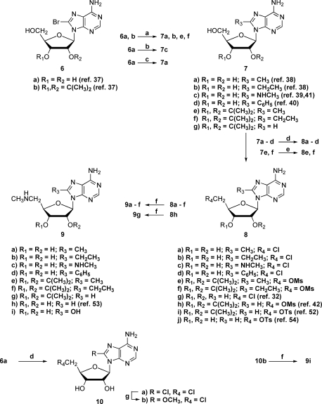 Scheme 1