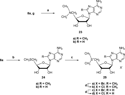 Scheme 5