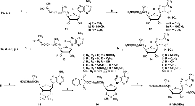 Scheme 2